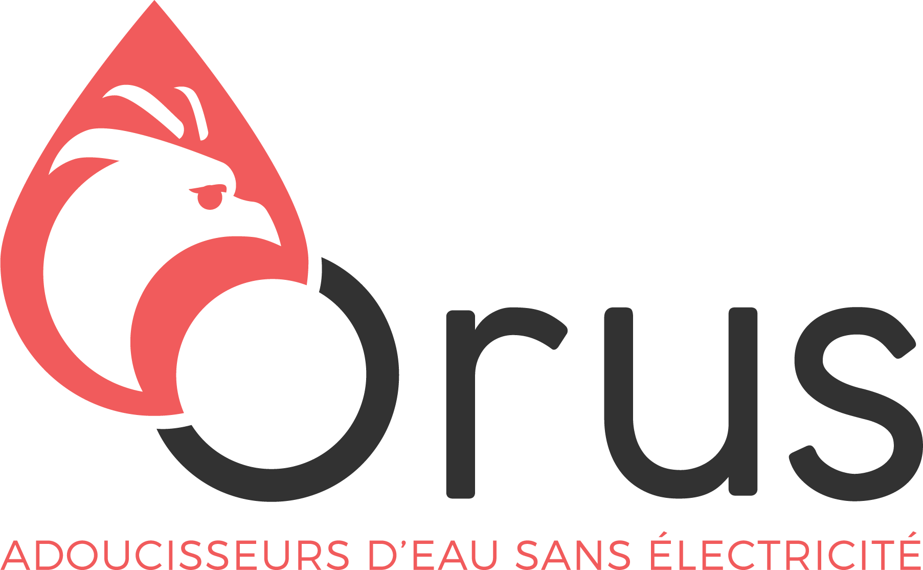 Orus
